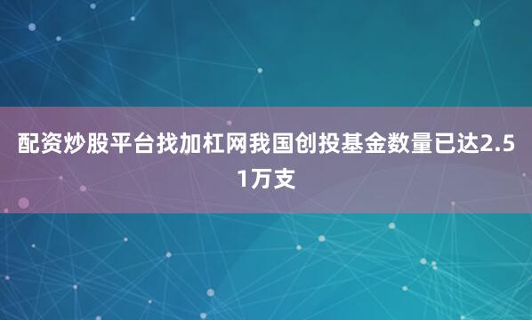 配资炒股平台找加杠网我国创投基金数量已达2.51万支