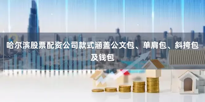 哈尔滨股票配资公司款式涵盖公文包、单肩包、斜挎包及钱包