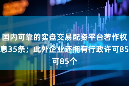 国内可靠的实盘交易配资平台著作权信息35条；此外企业还拥有行政许可85个