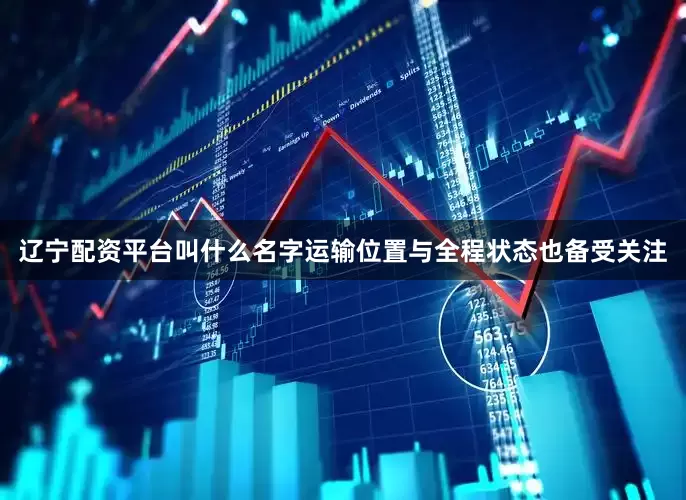辽宁配资平台叫什么名字运输位置与全程状态也备受关注